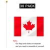 30 Pack Small Canada Flag, Handheld Canadian Flags with Plastic