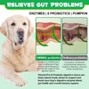 Probiotics for Dogs - Digestive Health and Immune Support, Dog