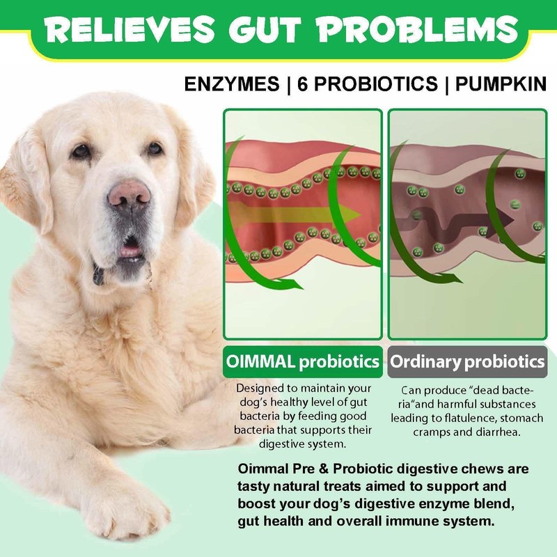Probiotics for Dogs - Digestive Health and Immune Support, Dog