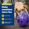 petsafe Busy Buddy Kibble Nibble Meal Dispensing Dog Toy, Small