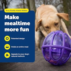 petsafe Busy Buddy Kibble Nibble Meal Dispensing Dog Toy, Small