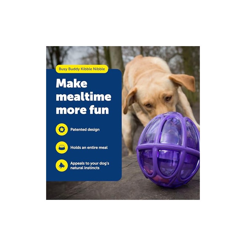 petsafe Busy Buddy Kibble Nibble Meal Dispensing Dog Toy, Small