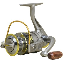 E Support 8BB Ball Bearing Saltwater Left/right Fish Fishing Spinning Reel GS2000