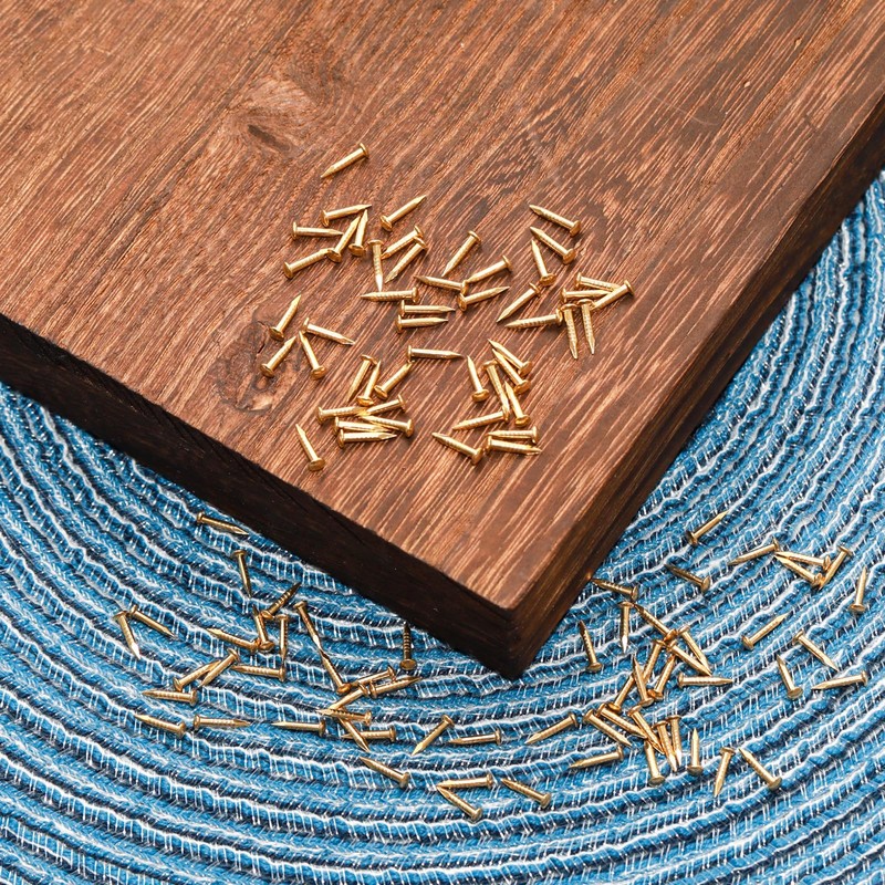 Pocoxll 100 Pcs Tiny Brass Nails, Decorative Wooden Nails for