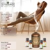 Livaano LIVAANO Essential Oils Set C 100% Pure Aromatherapy Oils
