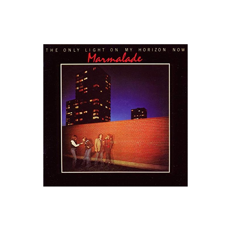 Only Light on My Horizon Now [Importado]