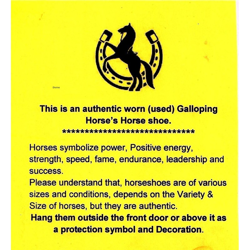 Divine 風水 鋳鉄 本物の黒馬 鉄靴 ケール ゴデ キナール エネルギー ブラック