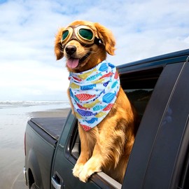 cyeollo 2 Pack Dog Cooling Bandanas Summer Chill Out Pet Bandana Fish Print Breathable Soft Scarf Collar for Small Medium Large Dogs Blue Stripe