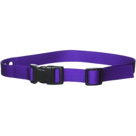 Grain Valley 1" Replacement Strap, Color: Purple. Sold Per Each. Fits Most PetSafe Bark Collars and Many Containment Collars. (No-Bark Collars / Accessories)