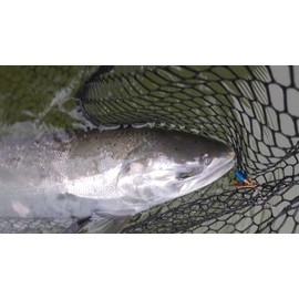 Prime Lures Weighted Fishing Spinners Real Silver (Orange, Silver, Chartreuse, Blue, 4)