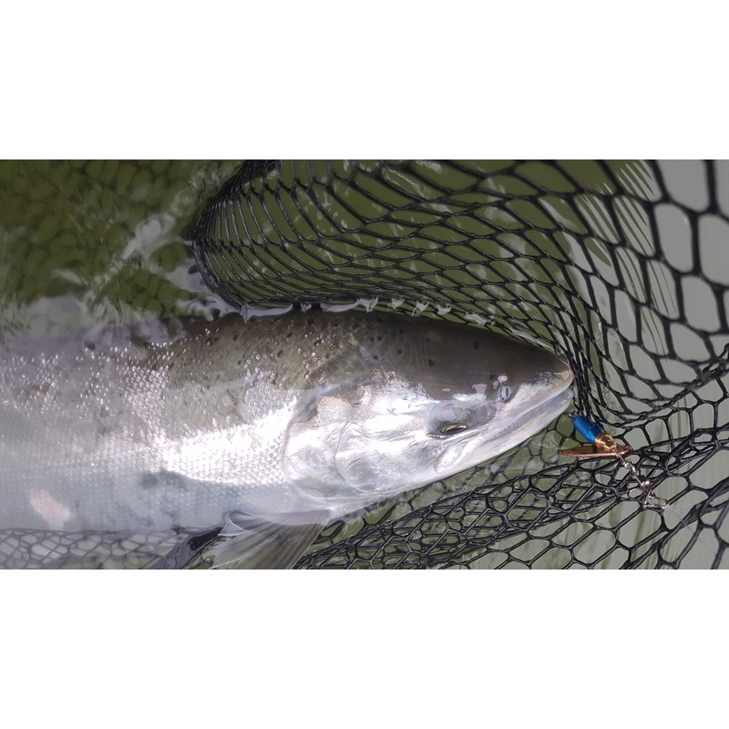 Prime Lures Weighted Fishing Spinners Real Silver (Orange, Silver, Chartreuse,