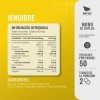 Jengibre 100 Cápsulas Días Antioxidante Antiinflamatorio Regula Peso Estabiliza Tus