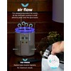 Katchy Indoor Fly Trap - Catcher & Killer for Mosquito,