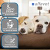 Alfavet Canigum Relax Dietary Supplement Food for Dogs, 120 g