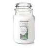 Yankee Candle White Gardenia Scented, Classic 22oz Large Jar Single
