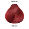 L'OREAL TECHNIQUE HiColor Reds Permanent Hair Color - Lifts Dark
