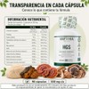 Adaptoheal HGS Melena de León, Reishi, Chaga, Shiitake y Cola