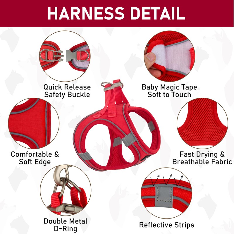 GAMUDA Small Pet Harness Collar and Leash Set, Step in