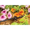 Rain Bird ILD1010PKXS Drip Irrigation in-Line Dripper/Emitter, 1 Gallon Per