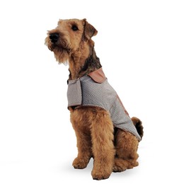 Brown Dog Vest (Medium), Dog Clothes for Spring, Spring Collection, Dog colthes for Winter, Poodle, Schnauzer