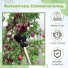 Tree Crutches (2-Pack) - Durable Support for Fruit Tree Branches