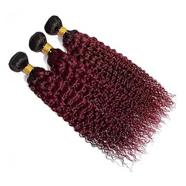 AiPliantfis Curly Wave Human Hair Bundles Burgundy Extensions Real Hair Brazilian Remy Hair Double Weft 1B99J Ombre Real Hair Wefts Brazilian Hair Bundles 100 g/PC 300 g Total 18 20 22
