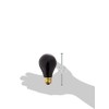 Fluker's Incandescent Black Nightlight Bulbs for Reptiles, 100 Watt