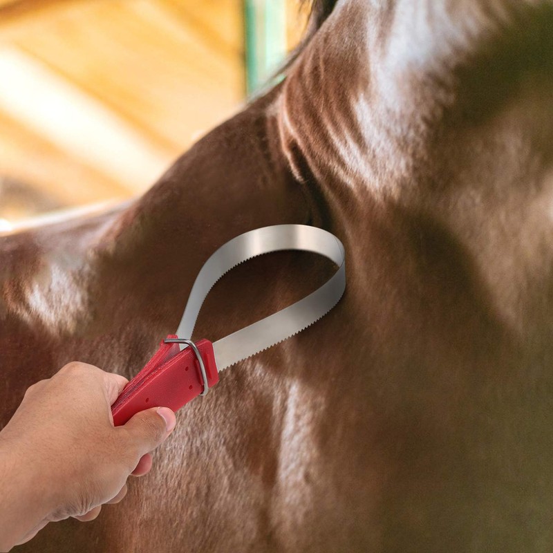 Lixada Equine Sweat Scraper Horse Shedding Grooming Tool Stainless Steel