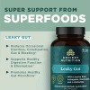 Ancient Nutrition Leaky Gut Salud Intestinal Microbiota 60c Sin Sabor