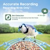 Bird Feeder with Camera Solar Powered, Smart Bird Feeder Camera