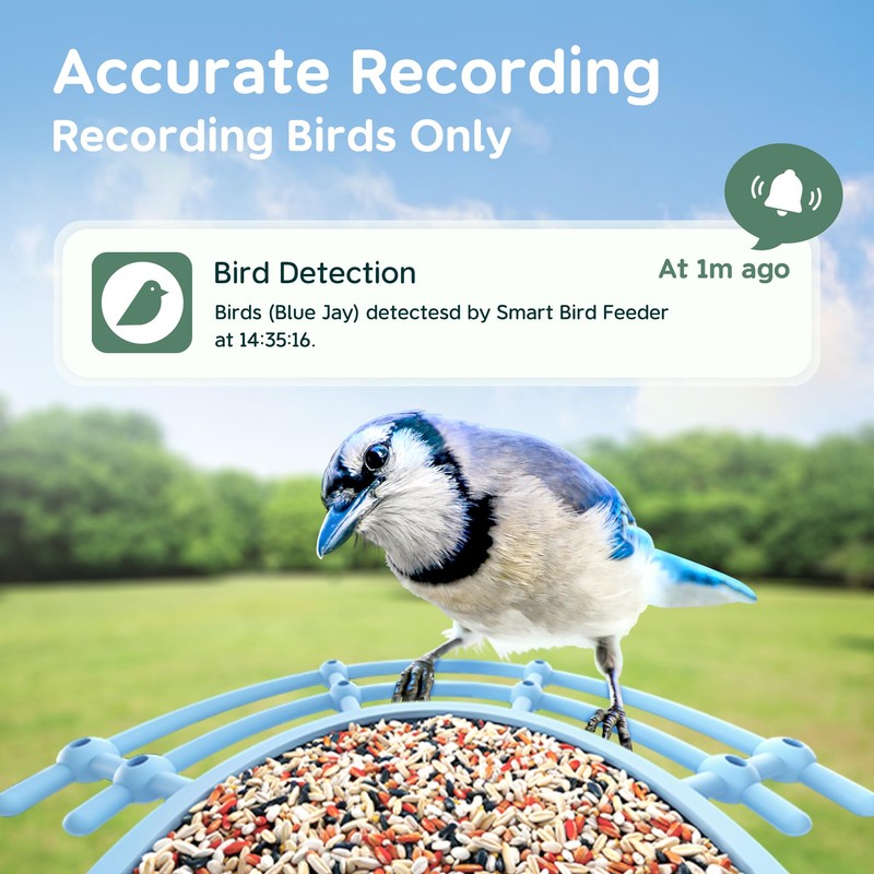 Bird Feeder with Camera Solar Powered, Smart Bird Feeder Camera
