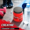 Evolite Nutrition Creatine Monohydrate 500 g – Flavour Creatine Powder