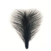 Simulation of Female Fake pubic Hair Adhesive Prosthetic Hair Paste