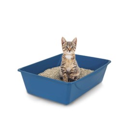 Petmate Petmate Litter Pan, Blue/Gray, Small, Made in USA