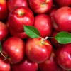 비웰 하루톡 유기농 애사비 14포 1박스 BiWell Harutok Organic Asabi