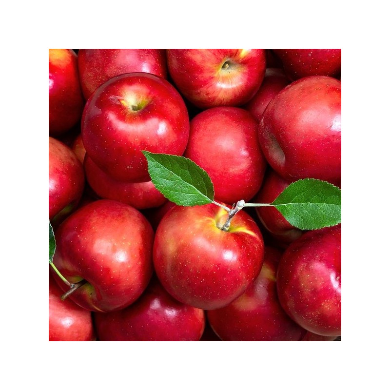 비웰 하루톡 유기농 애사비 14포 1박스 BiWell Harutok Organic Asabi
