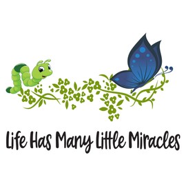 Butterfly's Lifes Little Miracles Catterpiller Butterfly Larva Insect Fly Away Bird Eagle Hummingbird Sparrow Worm Hawk Holiday Gift Decorating Ideas Wall Decal Sticker - Size: 20 in X 14 in