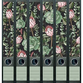 Set of 6 Narrow Folder Spines Succulent Plant Pattern File Art Folder Labels Decoration 2210 (AJ2201)