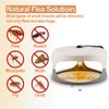 Flea Traps for Inside Your Home, 2 Packs Flea Trap