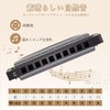 Harmonica Diatonic 10 Holes C Tone Beginner Advanced Airtight Blue