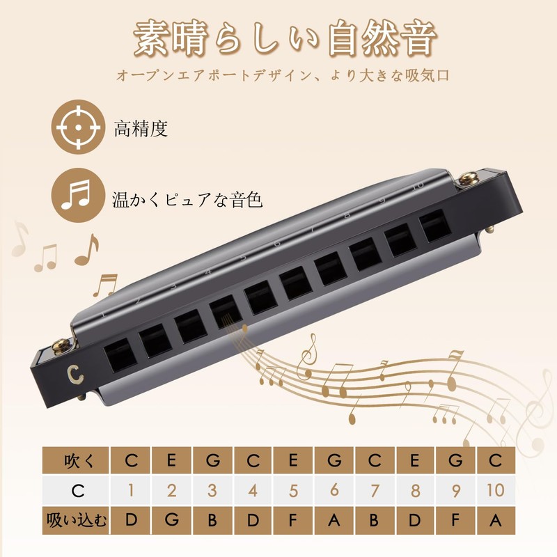 Harmonica Diatonic 10 Holes C Tone Beginner Advanced Airtight Blue