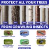 Spotted Lantern Fly Trap for Trees. 3 Sticky Fly Paper