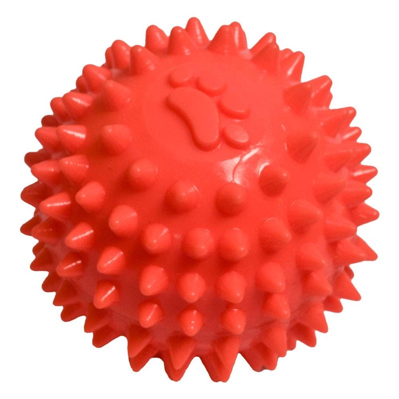 Fancy Pets Juguete d Pelota de Caucho Spiny para Perro