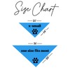 Happy Birthday Dog Bandana (967 Turquoise, One Size)