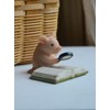 Gemmia Miniature Fairy Garden Pig Figurines- Toilet Thinking Pig (PVC
