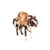 Rubie's Giant Spider Costume for Pets, Small