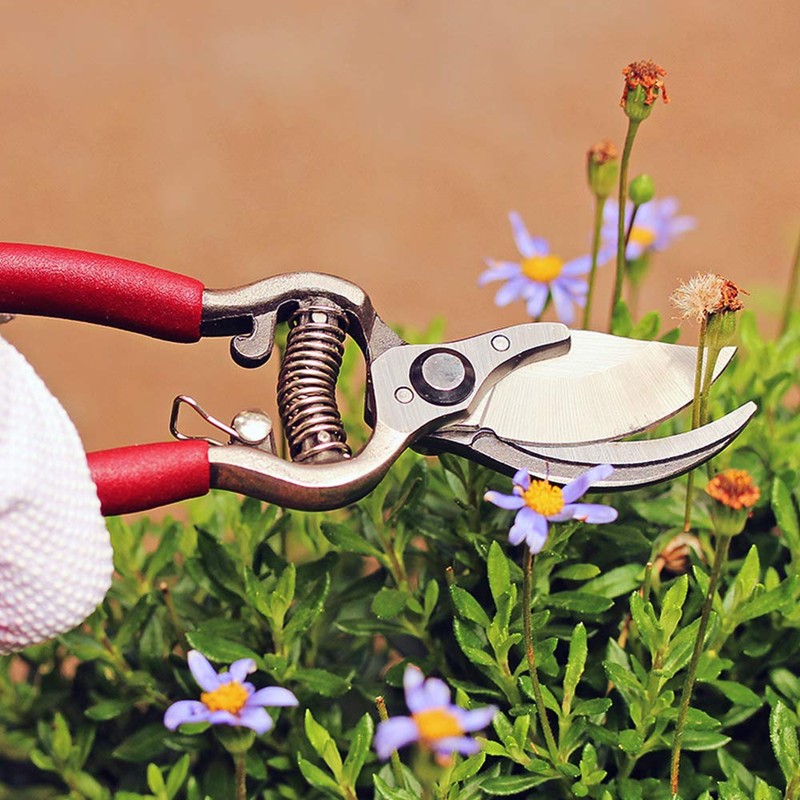 Kent & Stowe 70100481 Traditional Bypass Secateurs, Unique, Cranberry