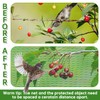 Bird Protection Net (Green, 4 x 12 m)