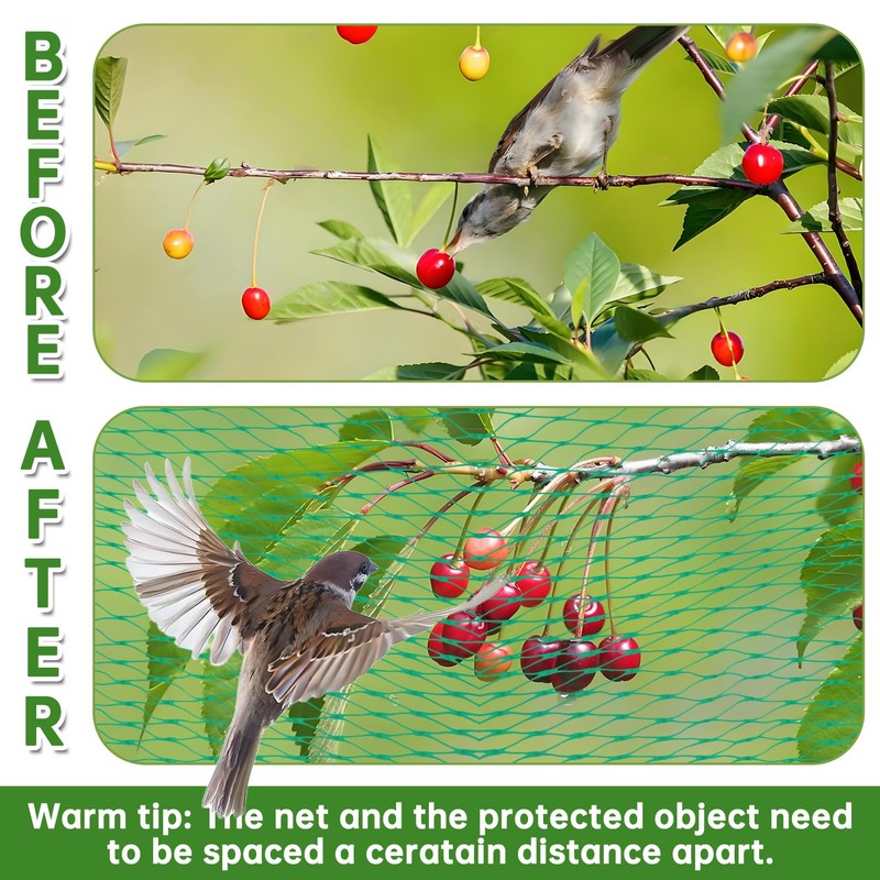 Bird Protection Net (Green, 4 x 12 m)