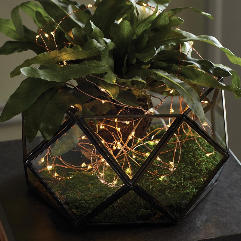 Napa Home & Garden, NAPA Night Sky LED Wire String